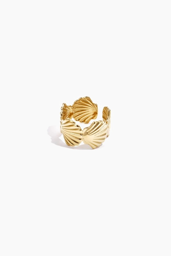 Chunky Schelp Ring